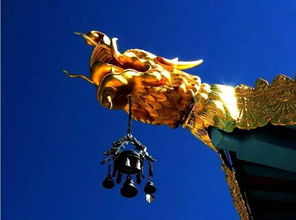 深入探讨圣衣的正确解释：古代文化、宗教信仰与现代审美的融合解读