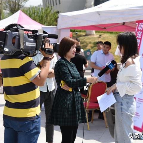 二肖中特期期准免费公开软件特点|实践解答解释落实_综合版.6.965