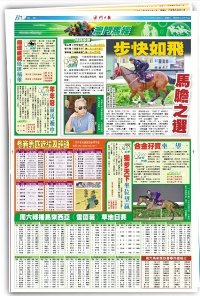 2024新澳门跑狗图今晚|探索澳门魅力的另一面_战略版.9.510
