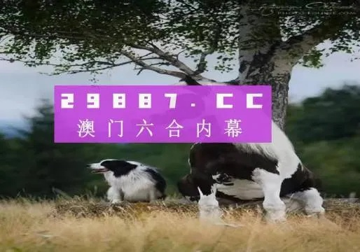 2024新澳门跑狗图今晚|探索澳门魅力的另一面_战略版.9.510