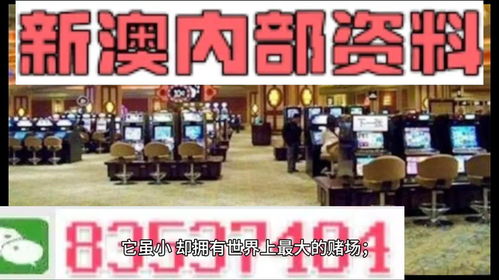 2024新澳精准正版资料免费大全|智慧与策略的完美结合_传统集.0.843
