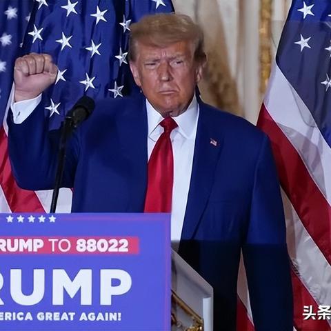 2024全年资料免费大全一肖|经典解答解释落实_XR款.0.32
